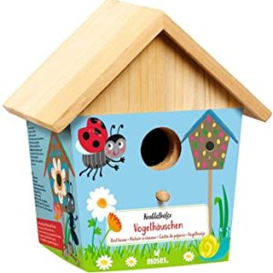 CASA DE PAJAROS PARA PINTAR