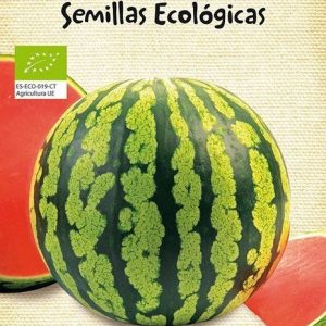 Semillas ecológicas de Sandía Crimson Sweet