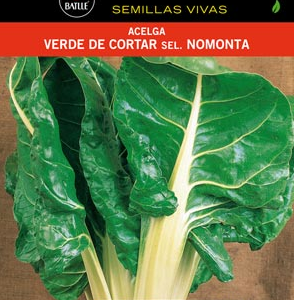 Semillas de Acelga verde de cortar sel. Nomonta (10 gr.)