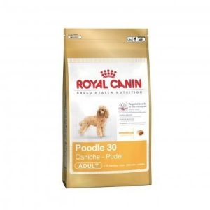 Comida para perros Royal Canin Poodle 30 (Caniche) Adult 1,5 Kg.