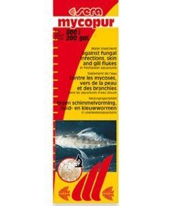 Tratamiento contra hongos y gusanos en peces de acuario Sera Mycopur (50 ml.)