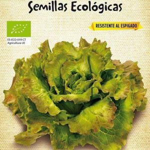 Semillas ecológicas de Lechuga Maravilla de Verano